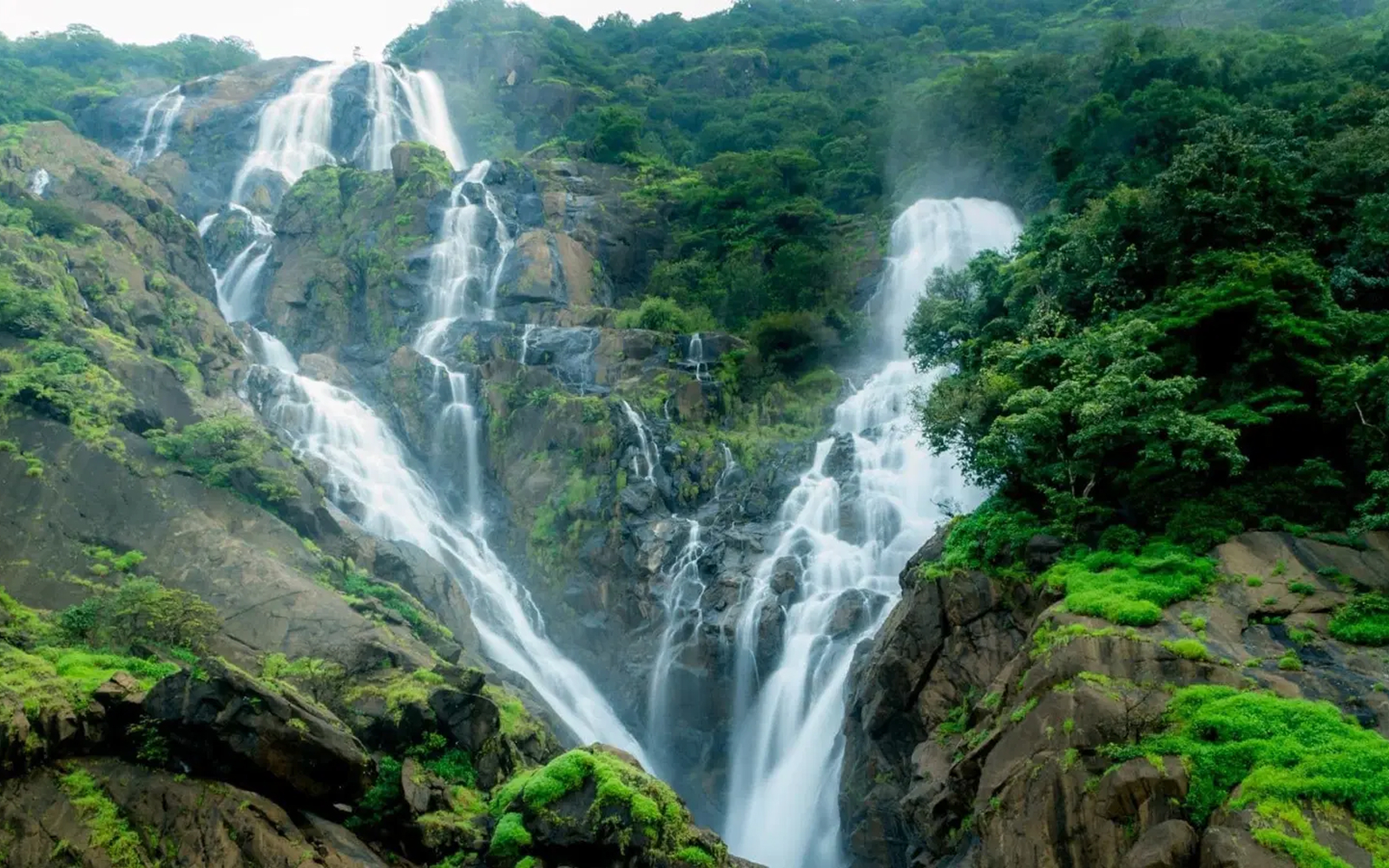 Dudhsagar Falls Safari
